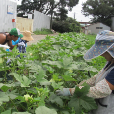 2015年8月15日（土）　forest farm
