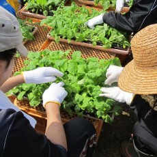 2015年9月19日(土) forest farm 2015年9月19日(土) forest farm