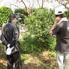 2015年10月3日(土) forest farm 2015年10月3日(土) forest farm