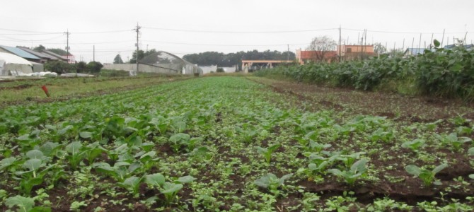 2015年10月17日（土）　forest farm