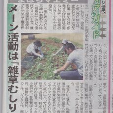 まほらマエミーが「夕刊フジ」に掲載されました！