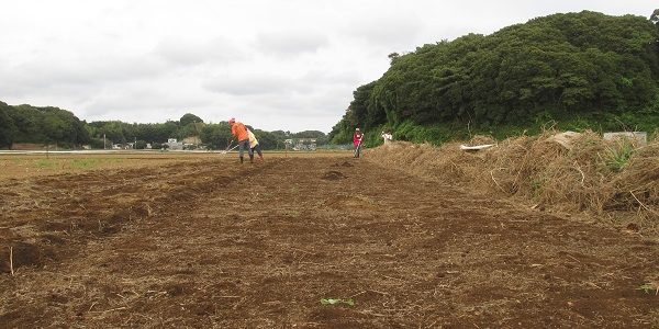 2016.09.17 福姫会【三浦由長嶋農園】援農ボランティア