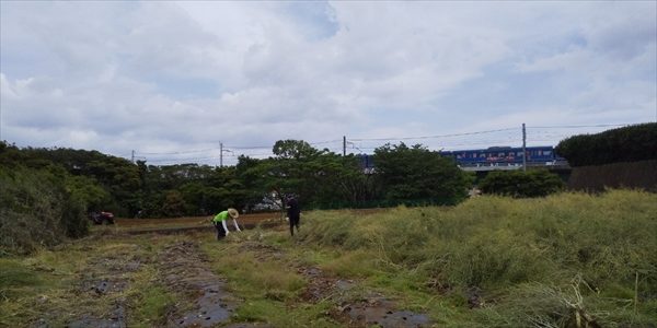 2019年05月18日 【渡邉農園】援農ボランティア