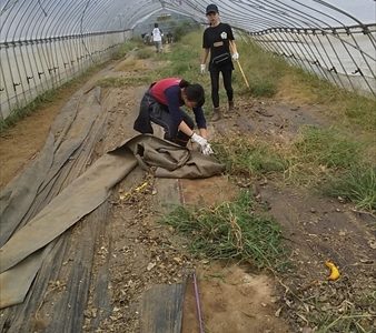 2019年09月21日 【渡邉農園】援農ボランティア