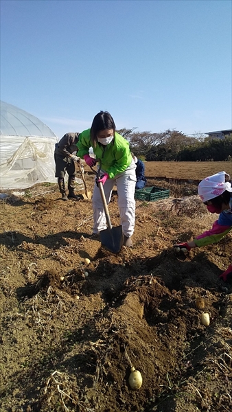 2020年12月27日 【渡邉農園】援農ボランティア