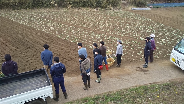 2021年2月14日 【みうら鈴木園】体験農園ボランティア