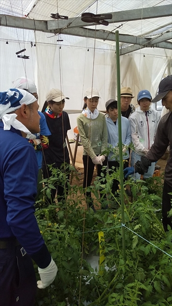 2021年5月9日 【みうら鈴木園】体験農園ボランティア